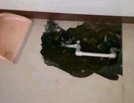 鸡冠卫生间测漏水多少钱